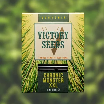 Semeno Victory Seeds - Chronic Monster XXL 5 ks