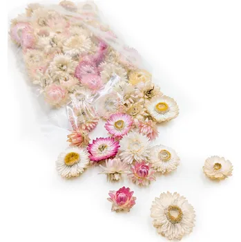 mech-mech.cz Sušené hlavičky Slaměnky (Helichrysum) - světle růžová