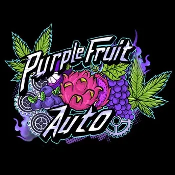 Semeno Sumo Seeds - Purple Fruit Auto 3 ks