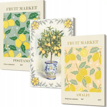 Obraz Sada obrazů na zeď Strom s citrusy, ovoce, Itálie 30x20 cm