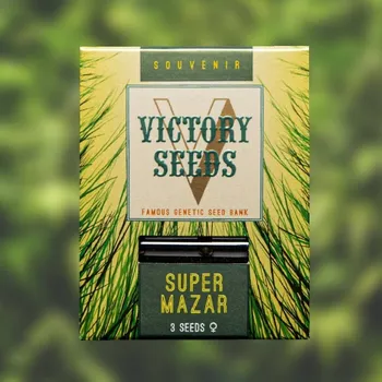 Semeno Victory Seeds - Super Mazar 3 ks