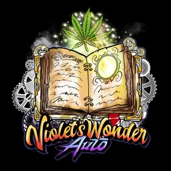 Semeno Sumo Seeds - Violets Wonder Auto 3 ks