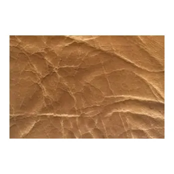 Čalounění dveří PETROMILA čalounění dveří Extra SVĚTLÝ OŘECH ROZMĚR: rozměr molitanu 90x200cm 2335/ROZ2