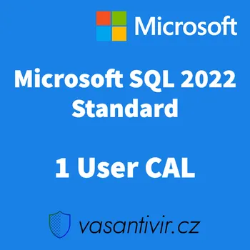 Operační systém Microsoft SQL Server 2022 Standard 1 User CAL, druhotná 359-07038
