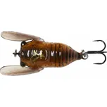 Cikáda Savage Gear 3D Cicada 3,3 cm Brown