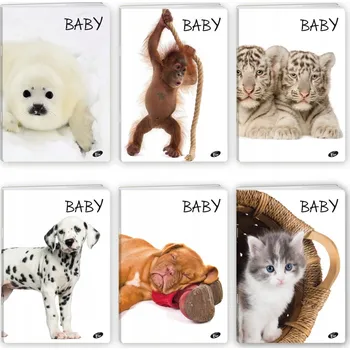 Sešit Sešit A5 s linkami Elisa, 32 listů