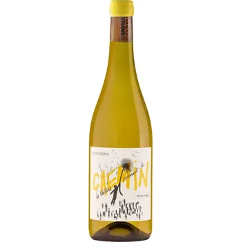 Artisans Partisans CHEMIN Chenin Blanc BIO 2024 0,75l