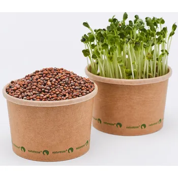Fóliovník Tiny Greens Bílá ředkev - Daikon - BIO semínka na klíčení a microgreens Množství: 100g