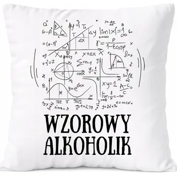 Obraz Dárek Polštář s motivem archeologa s potiskem bílý PoliDraw