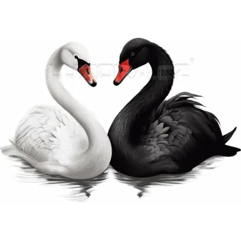 Nášivka Nažehlovačka Labuť černá a bílá - 20 x 14 cm