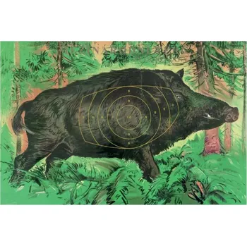 Terč na sportovní střelbu Terč mezinárodní redukovaný na 50 m - kňour