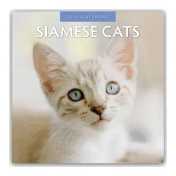 Diář Siamese Cats - Siamkatzen - Siamesische Katzen 2026 - 16-Monatskalender (EN)