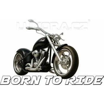 Nášivka Nažehlovačka Born to ride II. - 20 x 17 cm