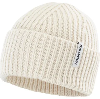 Čepice Salomon Snowbird Beanie LC2629600 - whisper white UNI