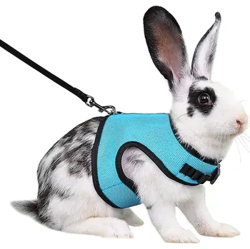 Prodyšný síťovaný postroj s vodítkem pro fretky, králíky a morčata Nastavitelný postroj pro mazlíčky 1,5 až 3 kg Pohodlné nošení modrá