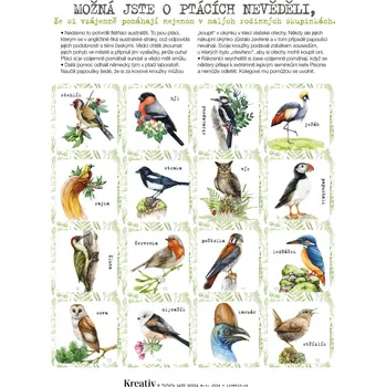 Pexeso Ptáčí pexeso