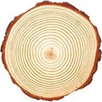 Plátek přírodního dřeva Ø 12-14 cm Tloušťka 1 cm Kulatá dřevěná podložka na dekorace Výrobu svíček Řemesla Rustikální svatby