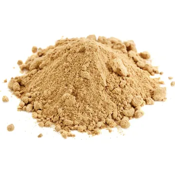 Speciální výživa Camu Camu prášek BIO - MámeChuť 125 g