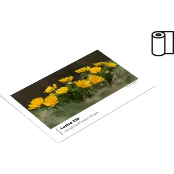 Fotopapír 61,0cm x 32,5m | SERIES230 Lustre | 1 roll