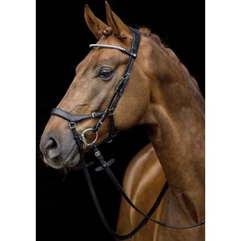 HKM Uzdečka Pro Anatomic HKM, černá FULL