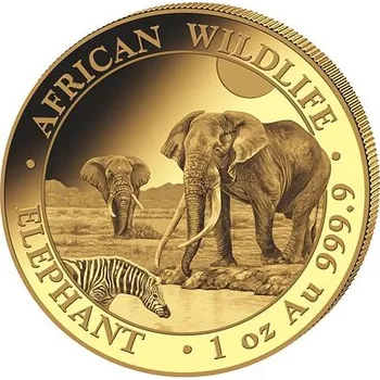 Bavorská mincovna - 1000 Shillings Elephant (Slon africký) 1 Oz 2026 (African Wildlife Series)