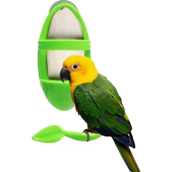 Krmítko pro ptáka Plastový držák na ovoce zeleninu nebo sépiovou kost do ptačí klece 10,5 x 5,2 cm se zeleným bidýlkem 7,5 cm Krmítko pro ptáky