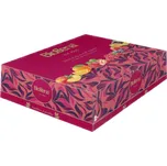 Biogena Traditional Maxi 60x 2 g