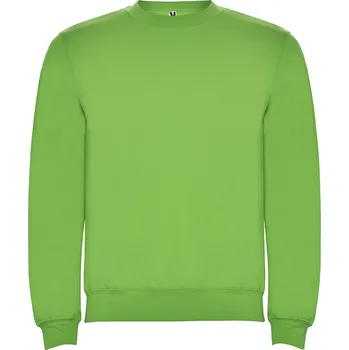 Chlapecká mikina ROLY Dětská mikina Clasica Velikost: 5, Barva: světle zelená (114)