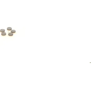 Brzdový kotouč Vyrovnávací Kotouč BOSCH (1410067350)