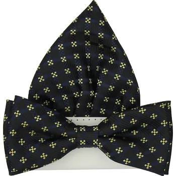 Motýlek Černý pánský motýlek se vzorem včetně kapesníčku