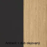 Jurek Obývací stěna Alsy 3 Vyber provedení: Antracit + dub olejovaný