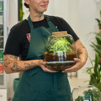 Cizojazyčná kniha Make your own Terrarium – Workshop in English Buy as a gift