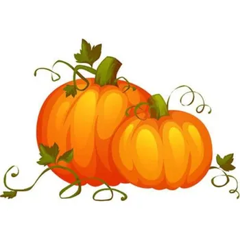 Odstranitelné tetování Dýně - dočasné tetování