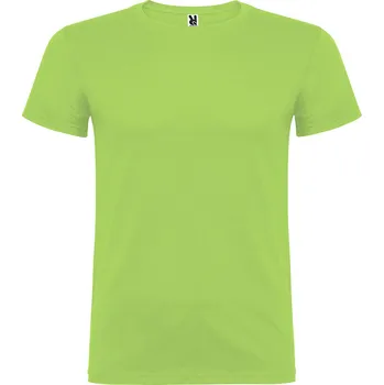 Pánské tričko ROLY Pánské tričko Beagle Velikost: L, Barva: světle zelená (114)