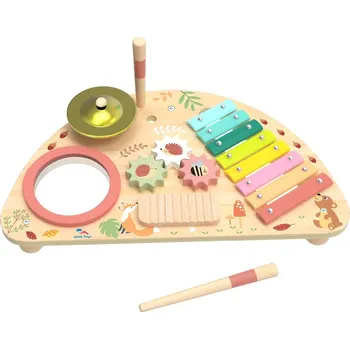 Hudební nástroj pro děti 2Kids Toys Multifunkční hudební deska