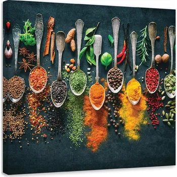 Obraz OBRAZ DO KUCHYNĚ Bylinky koření do kuchyně 30x30