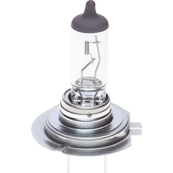 Autodoplněk Žárovka Pro Mot. Vozidla Bosch (1987302834)