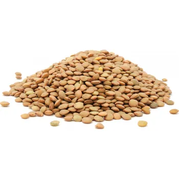 Luštěnina Čočka hnědá BIO 3 kg Les Fruits du Paradis