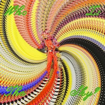 Zahraniční hudba Who Is the Sky? - David Byrne