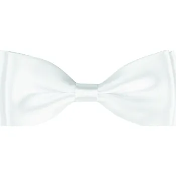 Motýlek Bílý pánský motýlek lesklý