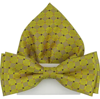 Motýlek Zlatý pánský motýlek se vzorem včetně kapesníčku