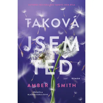 Kniha Taková jsem teď - Amber Smith