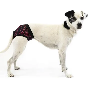 Obleček pro psa Samohýl Exclusive Hárací kalhotky Neon černé 36cm