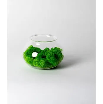 Dóza na potraviny Dóza - baňka se sobím mechem - světle zelená