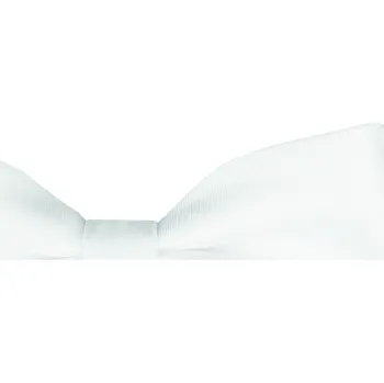 Motýlek Bílý pánský motýlek matný