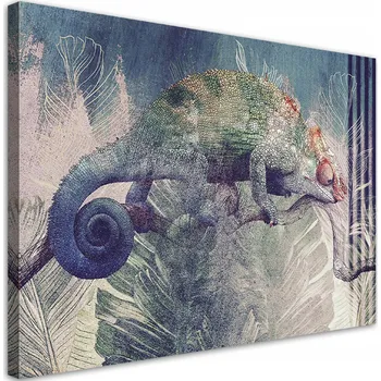Obraz Obraz na plátně, Chameleón na větvi 60x40 60x40