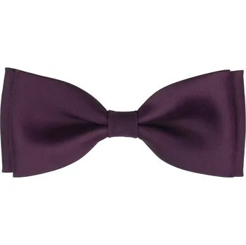 Motýlek Tmavě fialový pánský motýlek matný