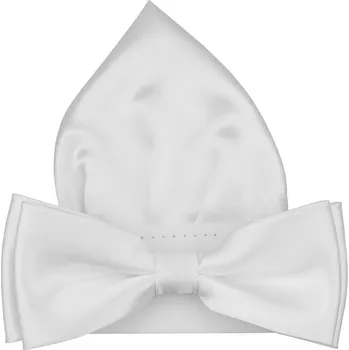 Motýlek Bílý pánský motýlek lesklý s kapesníčkem