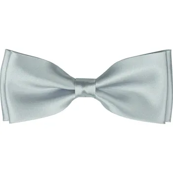 Motýlek Stříbrný pánský motýlek lesklý