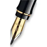 Náhradní hrot Waterman Expert GT hrot B